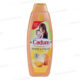 SHAMPOOING AUX OEUFS 650ML CADUM