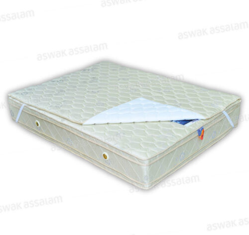 MATELAS SALIDORSAL AVEC ALESE 90*190CM SALIDOR