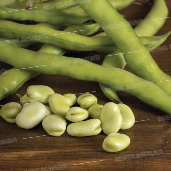 FEVE FRAICHE 1KG