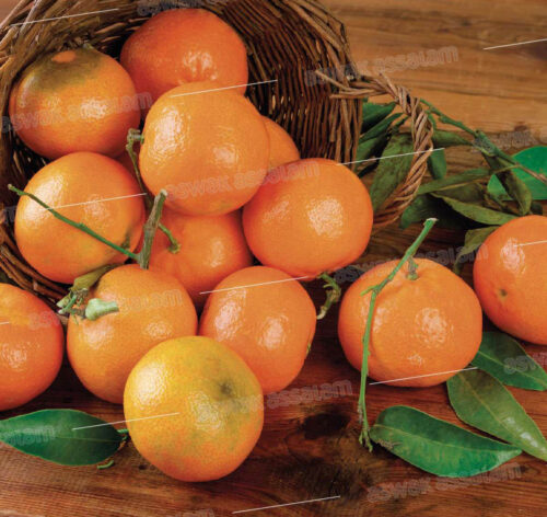 MANDARINE 1KG