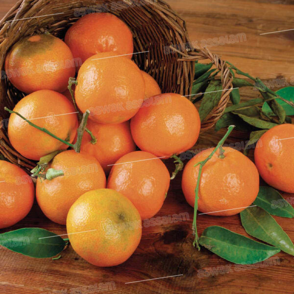 MANDARINE 1KG