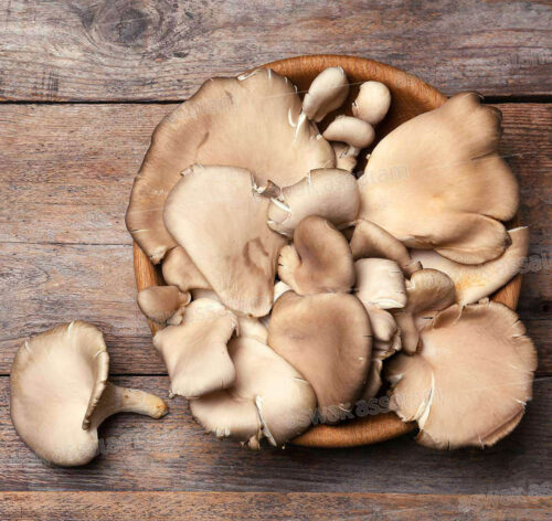 CHAMPIGNON PLEUROTE 500G