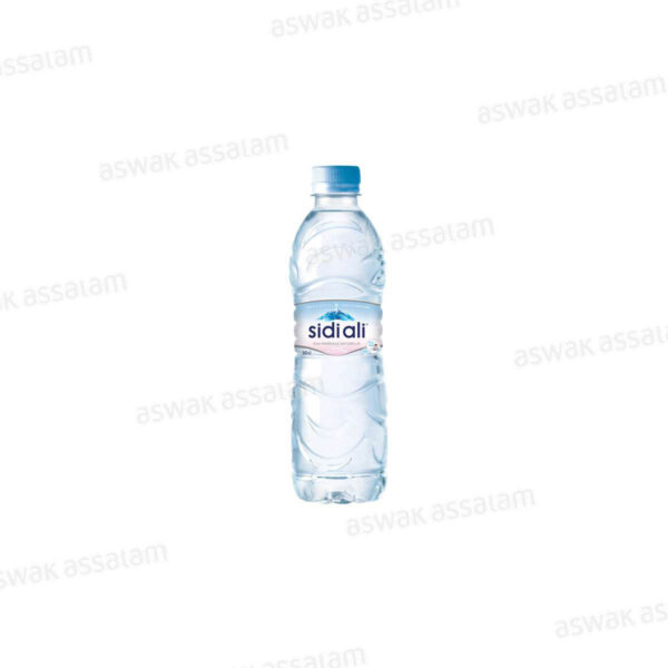 EAU MINERALE NATURELLE 50CL SIDI ALI