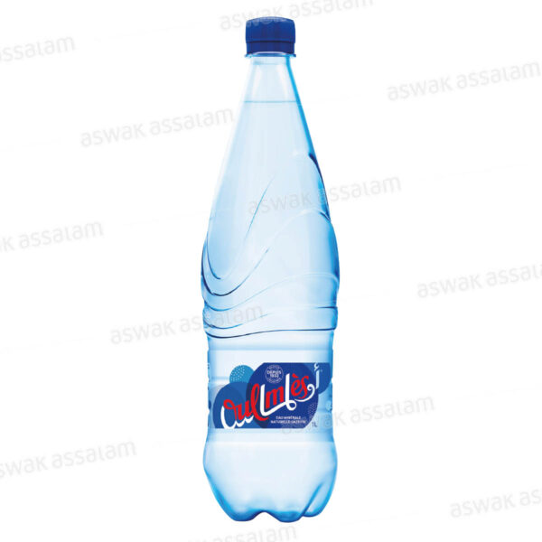 EAU GAZEUSE 1L OULMES