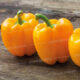 POIVRON JAUNE 1KG