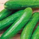 CONCOMBRE BELDI 1KG