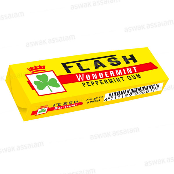 CHEWING-GUM WONDERMINT 5 STICKS FLASH