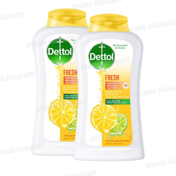 LOT DE 2 GELS DOUCHE FRESH 250ML DETTOL (1 ACHETE = 1 GRATUIT)