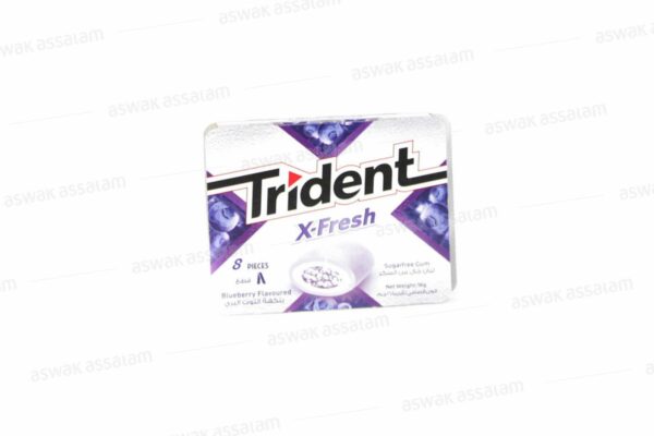 CHEWING-GUM  X-FRESH BLUEBERRY 16G TRIDENT