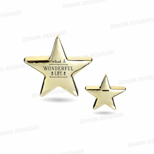 TIRELIRE ETOILE OR 19.5*21*5CM