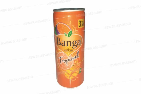 BANGA TROPICAL CANETTE 250ML