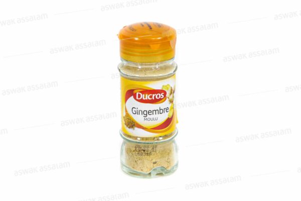 GINGEMBRE MOULU 30G DUCROS