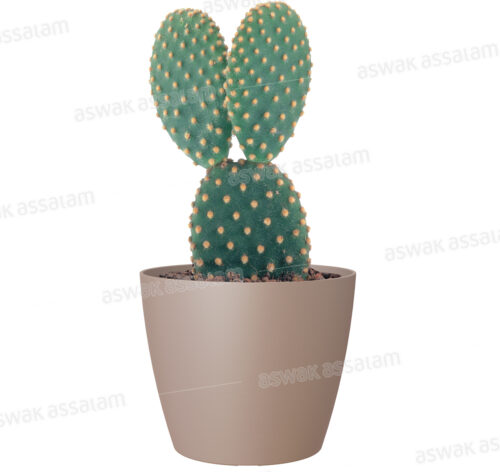 POT DE FLEURS TAUPE 9CM SAN REMO