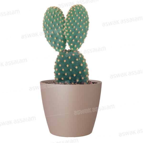 POT DE FLEURS TAUPE 9CM SAN REMO