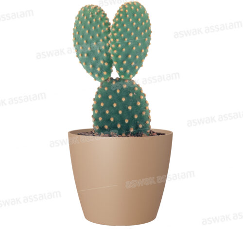 POT DE FLEURS BEIGE 9CM SAN REMO