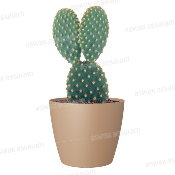 POT DE FLEURS BEIGE 9CM SAN REMO