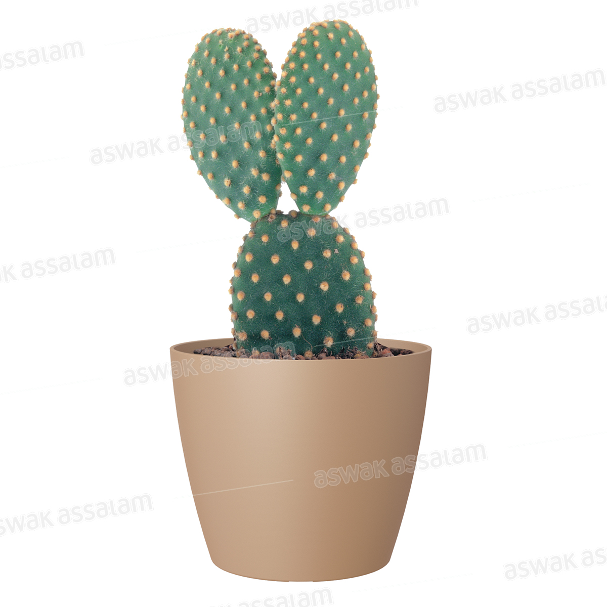 POT DE FLEURS BEIGE 9CM SAN REMO