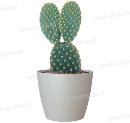 POT DE FLEURS GRIS 9CM SAN REMO