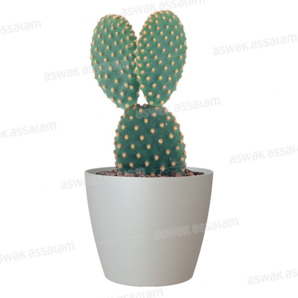 POT DE FLEURS GRIS 9CM SAN REMO