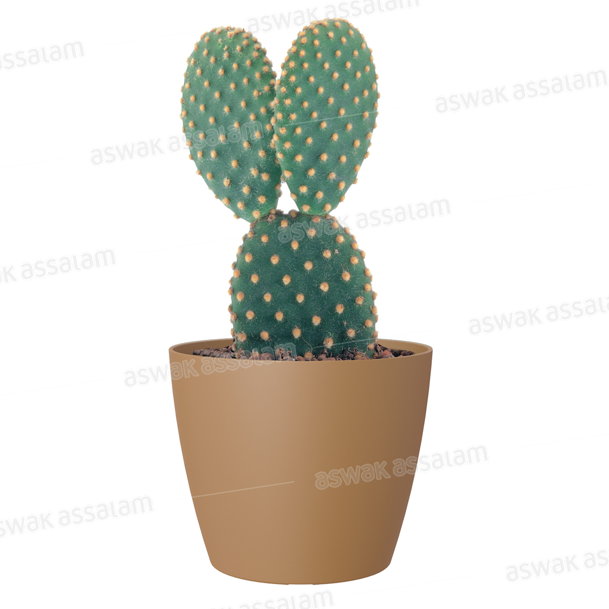 POT DE FLEURS JAUNE MOUTARDE 16CM SAN REMO
