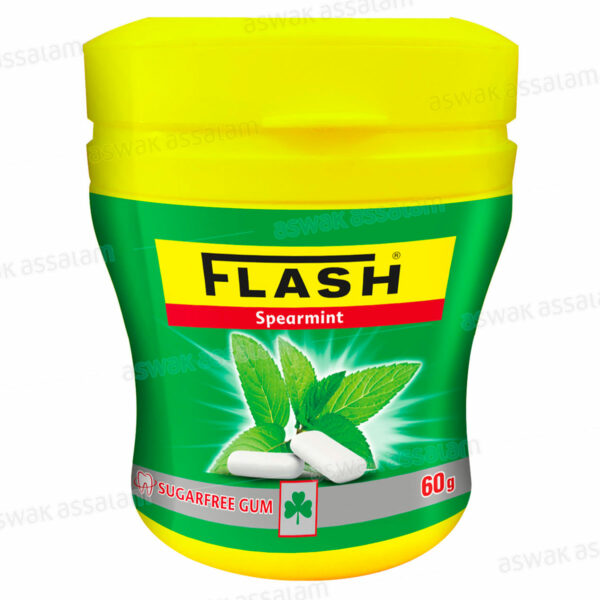 CHEWING-GUM SPEARMINT SANS SUCRE DRAGEES 60G POT IGLOO FLASH