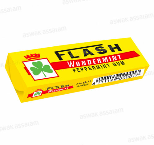 CHEWING-GUM WONDERMINT 5 STICKS FLASH