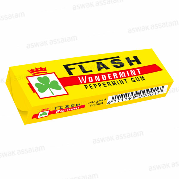 CHEWING-GUM WONDERMINT 5 STICKS FLASH