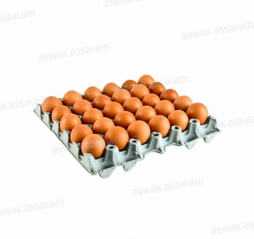 OEUFS FRAIS PLATEAU 30 UNITES WADIF