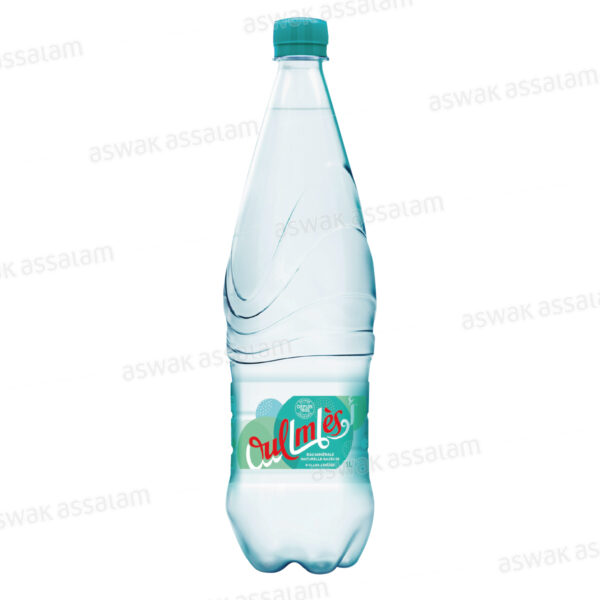 EAU GAZEUSE LEGERE 1L OULMES