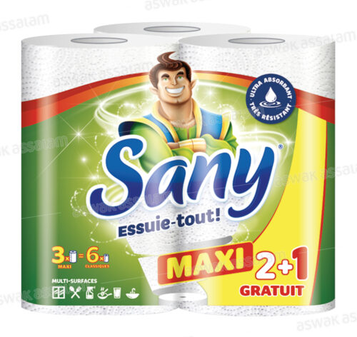 LOT DE 3 ESSUIE-TOUT MAXI 2 PLIS SANY (2 ACHETES = 1 GRATUIT )