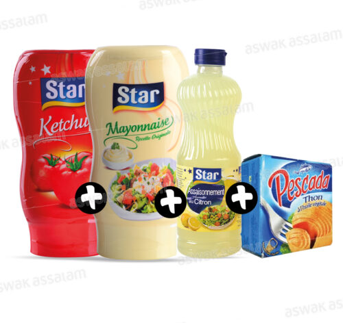 LOT : MAYONNAISE 300G + KETCHUP 300G + VINAIGRE CITRON 50CL + THON A L’HUILE VEGETALE 80G STAR