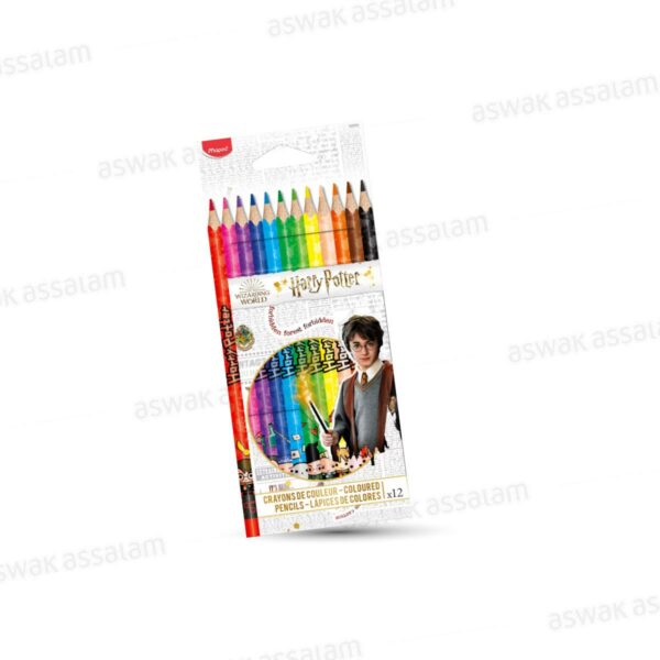12 CRAYONS DE COULEUR HARRY POTTER MAPED