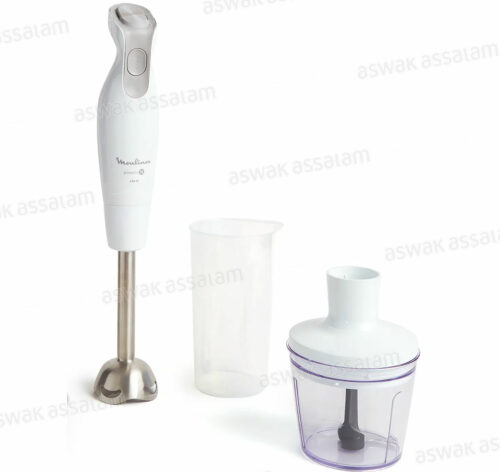 MIXEUR PLONGEANT AVEC ACCESSOIRES 600W INOX DAILYCHEF DD552110 MOULINEX