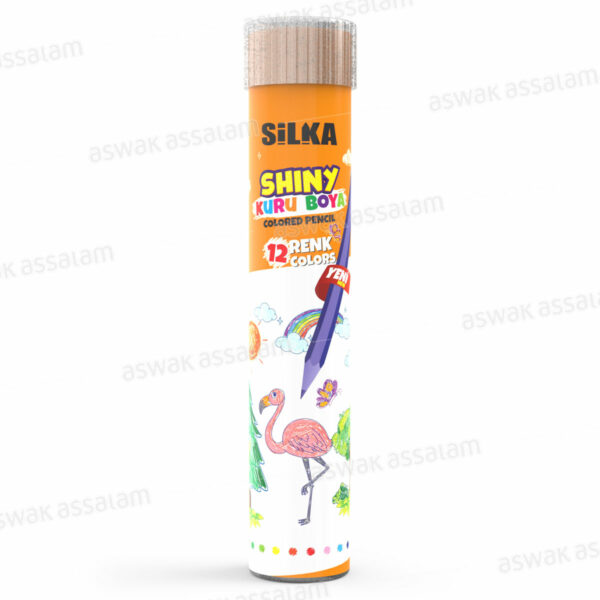 12 CRAYONS DE COULEUR EN TUBE SHINY SILKA