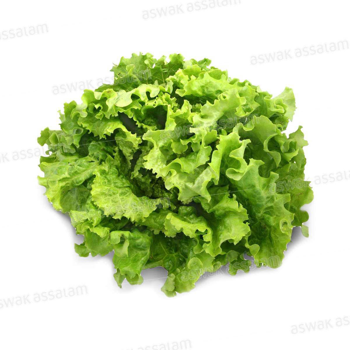 SALADE BATAVIA VERTE A LA PIECE