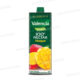 NECTAR MANGUE 1L VALENCIA