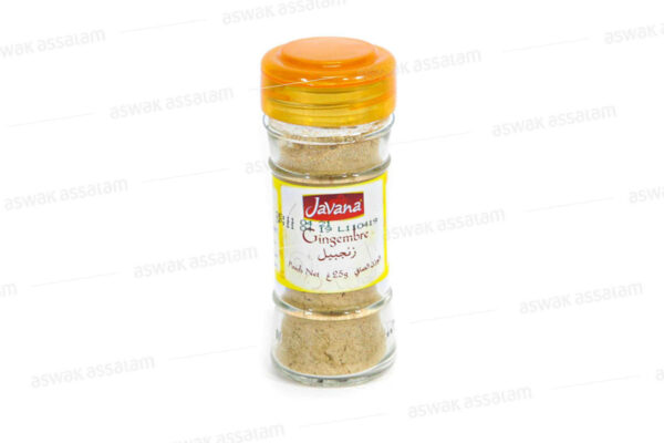 GINGEMBRE 25G JAVANA