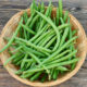 HARICOT VERT 1KG