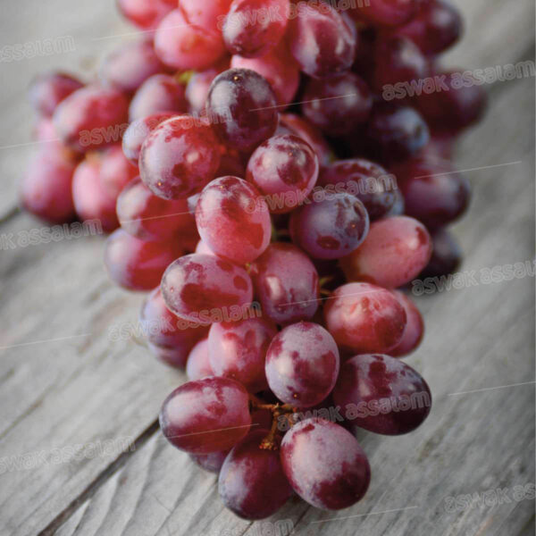 RAISIN ROUGE 1KG