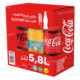 PACK MIXTE DE 6 BOISSONS GAZEUSES 5,8L HAWAI-COCA COLA-SPRITE-SCHWEPPES 