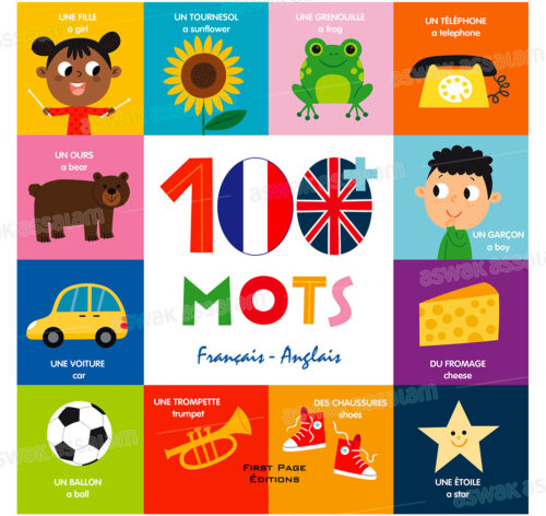 100+ MOTS FRANCAIS-ANGLAIS